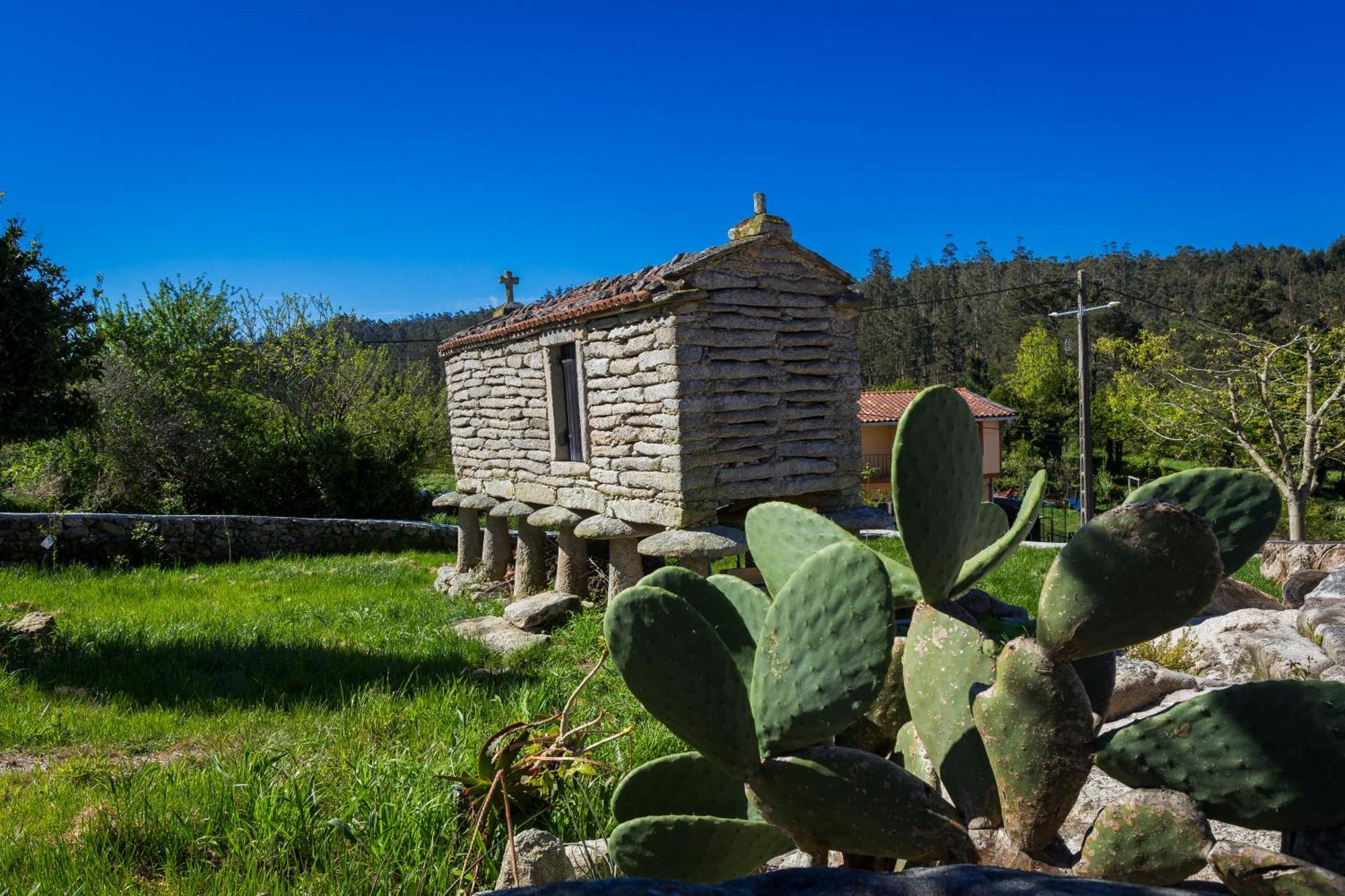 Casa Lela Dumbriaゲストハウス エクステリア 写真